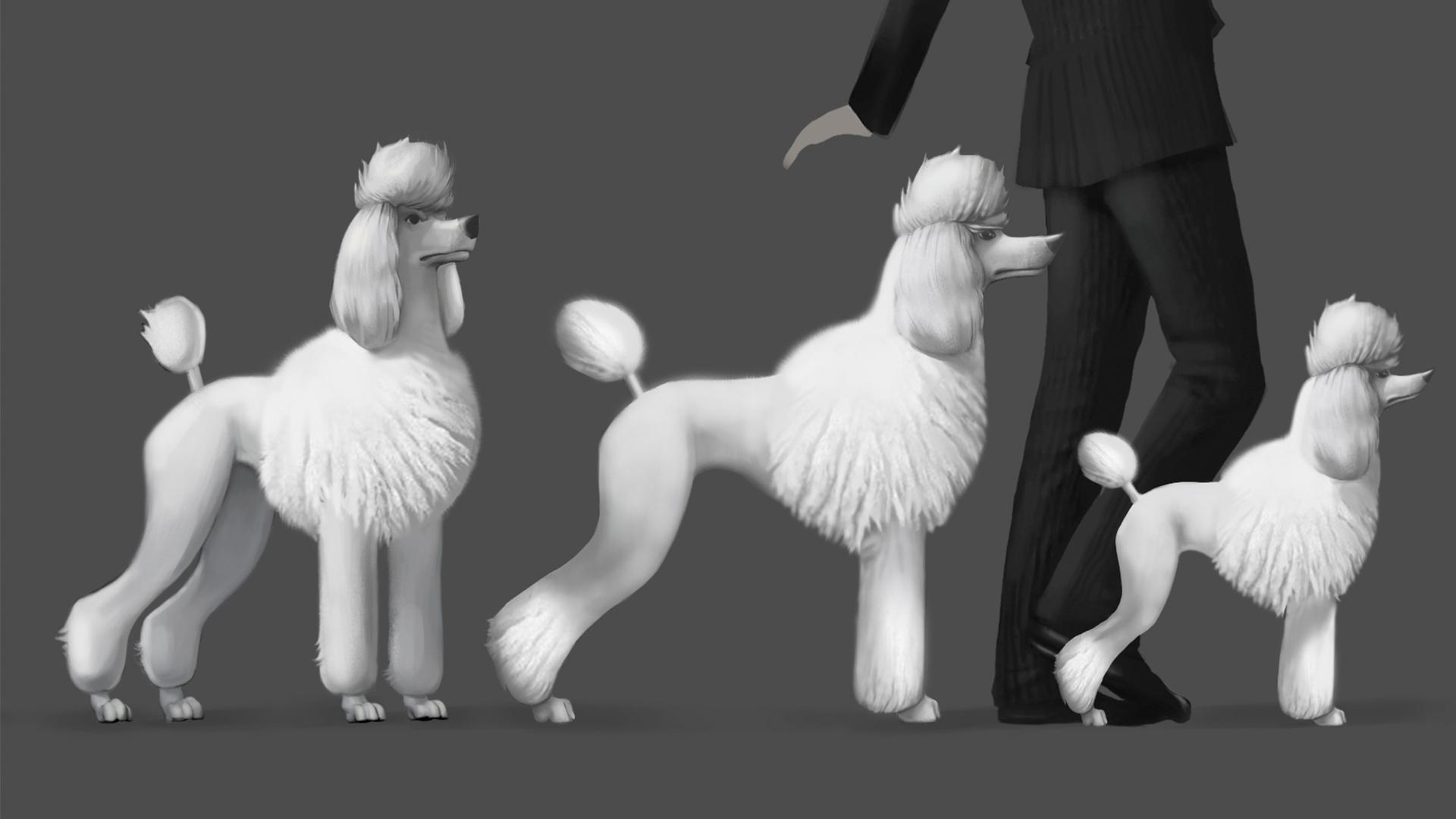 Dog concept